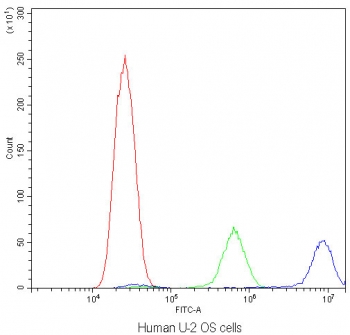 Flow cytometry testing of human U-2 OS cells with Calpastatin antibody at 1ug/million cells (blocked with goat sera); Red=cells alone, Green=isotype control, Blue=Calpastatin antibody.