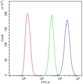 Flow cytometry testing of human A431 cells with NEDD8 antibody at 1ug/million cells (blocked with goat sera); Red=cells alone, Green=isotype control, Blue= NEDD8 antibody.