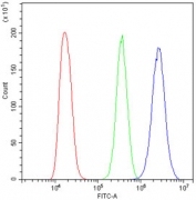 Flow cytometry testing of human A431 cells with NEDD8 antibody at 1ug/10^6 cells (blocked with goat sera); Red=cells alone, Green=isotype control, Blue= NEDD8 antibody.