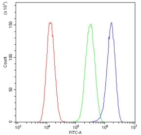 Flow cytometry testing of human U-87 MG cells with CYP17A1 antibody at 1ug/million cells (blocked with goat sera); Red=cells alone, Green=isotype control, Blue= CYP17A1 antibody.