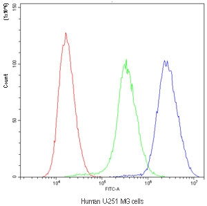 Flow cytometry testing of human U-251 MG cells with Purine Nucleoside Phosphorylase antibody at 1ug/million cells (blocked with goat sera); Red=cells alone, Green=isotype control, Blue=Purine Nucleoside Phosphorylase antibody.