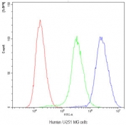 Flow cytometry testing of human U-251 MG cells with Purine Nucleoside Phosphorylase antibody at 1ug/10^6 cells (blocked with goat sera); Red=cells alone, Green=isotype control, Blue=Purine Nucleoside Phosphorylase antibody.