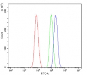 Flow cytometry testing of human A431 cells with HDGF antibody at 1ug/million cells (blocked with goat sera); Red=cells alone, Green=isotype control, Blue= HDGF antibody.