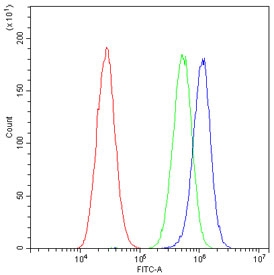 Flow cytometry testing of human A549 cells with Fibrinogen beta chain antibody at