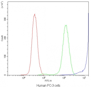 Flow cytometry testing of human PC-3 cells with DBI antibody at 1ug/million cells (blocked with goat sera); Red=cells alone, Green=isotype control, Blue=DBI antibody.