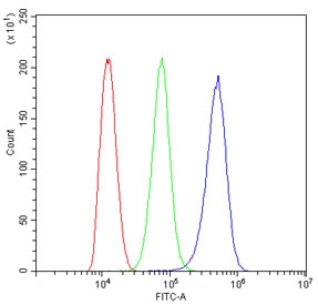 Flow cytometry testing of human ThP-1 cells with DBI antibody at 1ug/million cells (blocked with goat sera); Red=cells alone, Green=isotype control, Blue=DBI antibody.