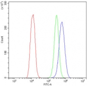 Flow cytometry testing of human U-2 OS cells with Cytokeratin 14 antibody at 1ug/10^6 cells (blocked with goat sera); Red=cells alone, Green=isotype control, Blue= Cytokeratin 14 antibody.