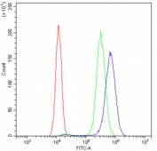 Flow cytometry testing of human SiHa cells with Cytokeratin 14 antibody at 1ug/10^6 cells (blocked with goat sera); Red=cells alone, Green=isotype control, Blue= Cytokeratin 14 antibody.