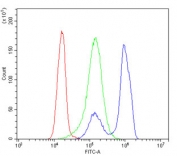 Flow cytometry testing of human K562 cells with hnRNP A1 antibody at 1ug/million cells (blocked with goat sera); Red=cells alone, Green=isotype control, Blue= hnRNP A1 antibody.