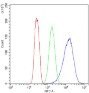 Flow cytometry testing of human SiHa cells with Beta III Tubulin antibody at 1ug/million cells (blocked with goat sera); Red=cells alone, Green=isotype control, Blue= Beta III Tubulin antibody.