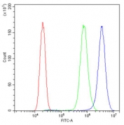 Flow cytometry testing of human PC-3 cells with EPHX2 antibody at 1ug/10^6 cells (blocked with goat sera); Red=cells alone, Green=isotype control, Blue= EPHX2 antibody.