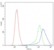 Flow cytometry testing of human A549 cells with DR4 antibody at 1ug/million cells (blocked with goat sera); Red=cells alone, Green=isotype control, Blue= DR4 antibody.