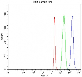 Flow cytometry testing of fixed and permeabilized human 293T cells with hnRNP H antibody at 1ug/million cells (blocked with goat sera); Red=cells alone, Green=isotype control, Blue= hnRNP H antibody.