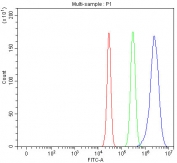 Flow cytometry testing of fixed and permeabilized mouse Neuro-2a cells with hnRNP H antibody at 1ug/million cells (blocked with goat sera); Red=cells alone, Green=isotype control, Blue= hnRNP H antibody.