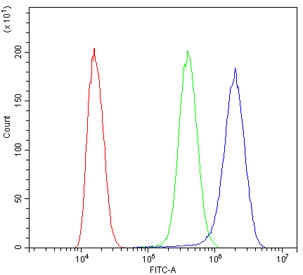 Flow cytometry testing of human SiHa cells with VASP antibody at 1ug/million cells (blocked with goat sera); Red=cells alone, Green=isotype control, Blue= VASP antibody.