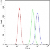 Flow cytometry testing of human A549 cells with DR5 antibody at 1ug/million cells (blocked with goat sera); Red=cells alone, Green=isotype control, Blue= DR5 antibody.