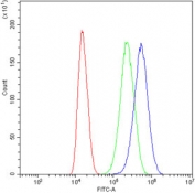 Flow cytometry testing of human U-87 MG cells with DR5 antibody at 1ug/million cells (blocked with goat sera); Red=cells alone, Green=isotype control, Blue= DR5 antibody.