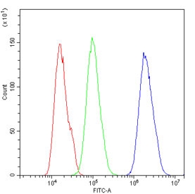 Flow cytometry testing of human U-2 OS cells with Periplakin antibody at 1ug/million cells (blocked with goat sera); Red=cells alone, Green=isotype control, Blue= Periplakin antibody.