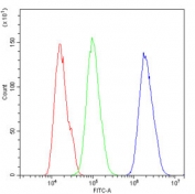 Flow cytometry testing of human U-2 OS cells with Periplakin antibody at 1ug/million cells (blocked with goat sera); Red=cells alone, Green=isotype control, Blue= Periplakin antibody.