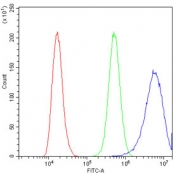 Flow cytometry testing of human A431 cells with Cytokeratin 18 antibody at 1ug/10^6 cells (blocked with goat sera); Red=cells alone, Green=isotype control, Blue= Cytokeratin 18 antibody.