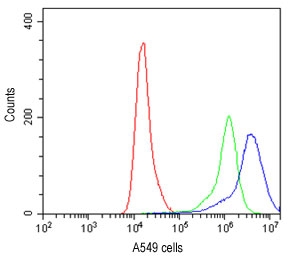 Flow cytometry testing of human A549 cells with IFNGR1 antibody at 1ug/