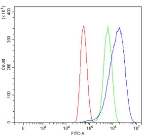 Flow cytometry testing of human U-87 MG cells with Endoglin antibody at 1ug/million cells (blocked with goat sera); Red=cells alone, Green=isotype control, Blue= Endoglin antibody.~