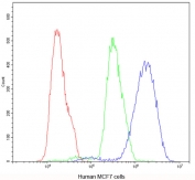 Flow cytometry testing of human MCF7 cells with CHRNA5 antibody at 1ug/10^6 cells (blocked with goat sera); Red=cells alone, Green=isotype control, Blue=CHRNA5 antibody.