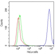Flow cytometry testing of human HeLa cells with CD147 antibody at 1ug/10^6 cells (cells blocked with goat sera); Red=cells alone, Green=isotype control, Blue=CD147 antibody.