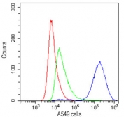 Flow cytometry testing of human A549 cells with CD147 antibody at 1ug/10^6 cells (cells blocked with goat sera); Red=cells alone, Green=isotype control, Blue=CD147 antibody.