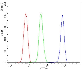 Flow cytometry testing of human U937 cells with RanBP1 antibody at 1ug/million cells (blocked with goat sera); Red=cells alone, Green=isotype control, Blue= RanBP1 antibody.