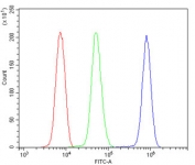 Flow cytometry testing of human U937 cells with RanBP1 antibody at 1ug/million cells (blocked with goat sera); Red=cells alone, Green=isotype control, Blue= RanBP1 antibody.