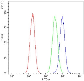 Flow cytometry testing of human A549 cells with TFPI2 antibody at 1ug/million cells (blocked with goat sera); Red=cells alone, Green=isotype control, Blue= TFPI2 antibody.