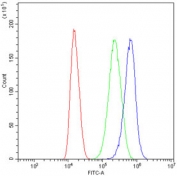 Flow cytometry testing of human U-87 MG cells with TFPI2 antibody at 1ug/10^6 cells (blocked with goat sera); Red=cells alone, Green=isotype control, Blue= TFPI2 antibody.