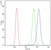 Flow cytometry testing of human SiHa cells with HDAC4 antibody at 1ug/10^6 cells (blocked with goat sera); Red=cells alone, Green=isotype control, Blue= HDAC4 antibody.