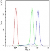 Flow cytometry testing of human ThP-1 cells with HDAC4 antibody at 1ug/10^6 cells (blocked with goat sera); Red=cells alone, Green=isotype control, Blue= HDAC4 antibody.