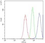 Flow cytometry testing of human U251 cells with Beta-2 Microglobulin antibody at 1ug/10^6 cells (blocked with goat sera); Red=cells alone, Green=isotype control, Blue= Beta-2 Microglobulin antibody.