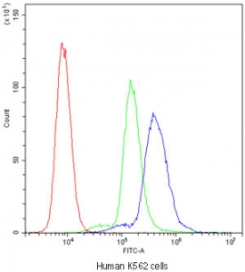 Flow cytometry testing of human K562 cells with Cyclophilin A antibody at 1ug/million cells (blocked with goat sera); Red=cells alone, Green=isotype control, Blue=Cyclophilin A antibody.