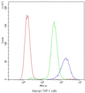 Flow cytometry testing of human THP-1 cells with Cyclophilin A antibody at 1ug/million cells (blocked with goat sera); Red=cells alone, Green=isotype control, Blue=Cyclophilin A antibody.