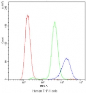 Flow cytometry testing of human THP-1 cells with Cyclophilin A antibody at 1ug/10^6 cells (blocked with goat sera); Red=cells alone, Green=isotype control, Blue=Cyclophilin A antibody.