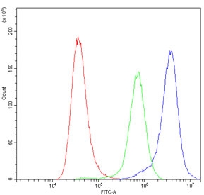 Flow cytometry testing of human A549 cells with Bax antibody at 1ug/million cells (blocked with goat sera); Red=cells alone, Green=isotype control, Blue= Bax antibody.