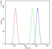 Flow cytometry testing of human U-2 OS cells with CPI-17 antibody at 1ug/10^6 cells (blocked with goat sera); Red=cells alone, Green=isotype control, Blue= CPI-17 antibody.