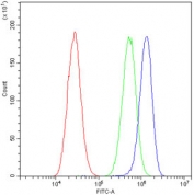 Flow cytometry testing of human A549 cells with TIMP4 antibody at 1ug/10^6 cells (blocked with goat sera); Red=cells alone, Green=isotype control, Blue= TIMP4 antibody.