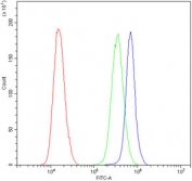 Flow cytometry testing of human PC-3 cells with NANOG antibody at 1ug/million cells (blocked with goat sera); Red=cells alone, Green=isotype control, Blue= NANOG antibody.