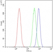 Flow cytometry testing of human A549 cells with NANOG antibody at 1ug/million cells (blocked with goat sera); Red=cells alone, Green=isotype control, Blue= NANOG antibody.