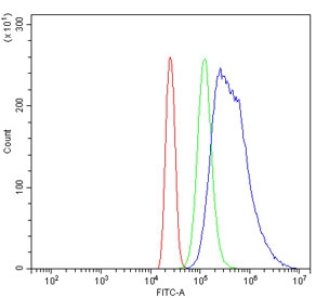 Flow cytometry testing of human HL60 cells with BAG5 antibody at 1ug/million cells (blocked with goat sera); Red=cells alone, Green=isotype control, Blue= BAG5 antibody.