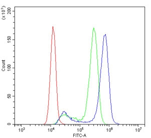 Flow cytometry testing of human A431 cells with EGFR antibody at 1ug/million cells (blocked with goat sera); Red=cells alone, Green=isotype control, Blue= EGFR antibody.