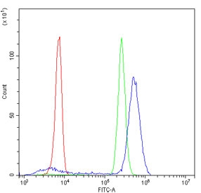 Flow cytometry testing of human U937 cells with RAN antibody at 1ug/million cells (blocked with goat sera); Red=cells alone, Green=isotype control, Blue= RAN antibody.