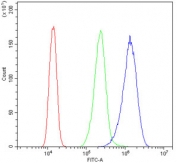 Flow cytometry testing of human A431 cells with RAN antibody at 1ug/10^6 cells (blocked with goat sera); Red=cells alone, Green=isotype control, Blue= RAN antibody.