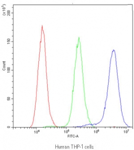 Flow cytometry testing of human THP-1 cells with NFAT2 antibody at 1ug/million cells (blocked with goat sera); Red=cells alone, Green=isotype control, Blue=NFAT2 antibody.