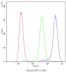 Flow cytometry testing of human MCF-7 cells with NFAT2 antibody at 1ug/million cells (blocked with goat sera); Red=cells alone, Green=isotype control, Blue=NFAT2 antibody.